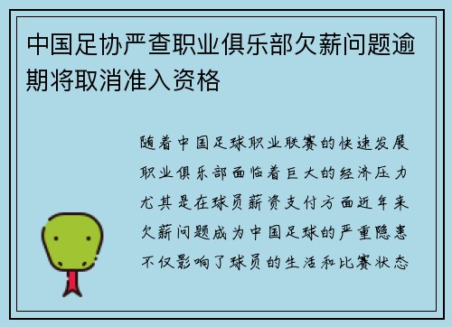 中国足协严查职业俱乐部欠薪问题逾期将取消准入资格